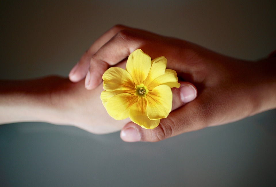 Hænder og blomst